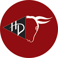 hong-dang design Logo