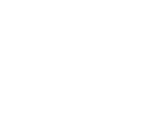 we are dn* // digitalnaturals* Logo