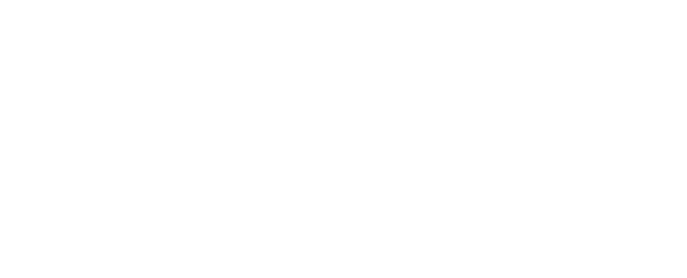 Schoolbird Logo