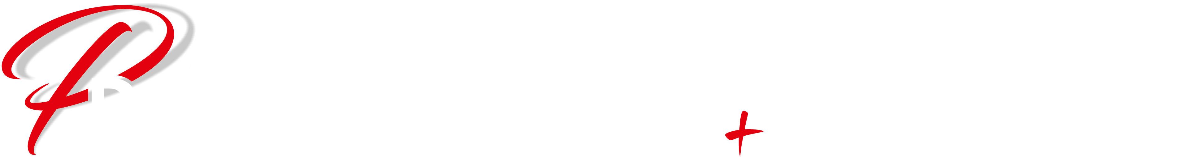 PRINT Werbung & Druck GmbH Logo