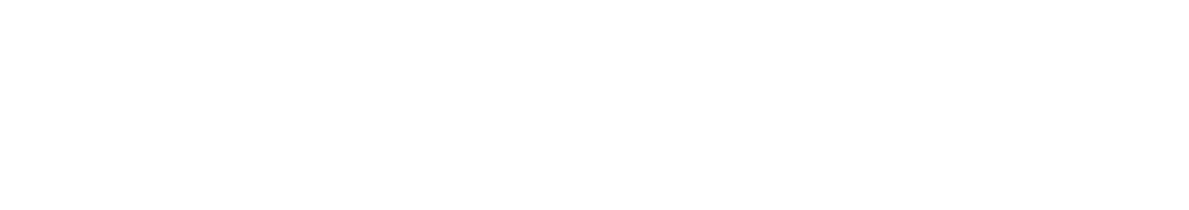Blickpuls GmbH Logo