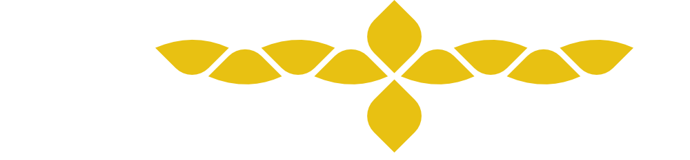 Rock the Media Logo