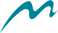 Webstudio Nadine Möller Logo