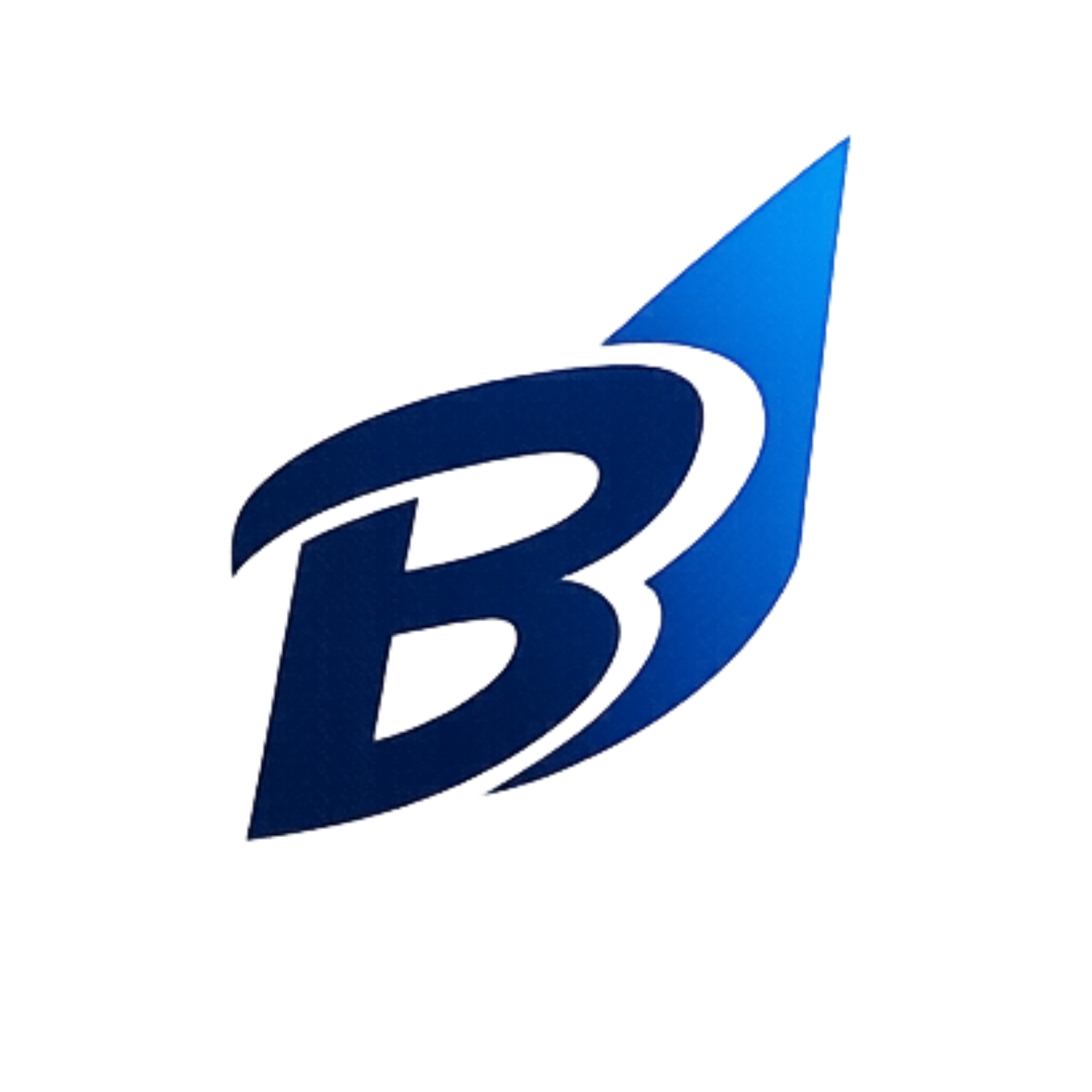 blue performance GmbH Logo