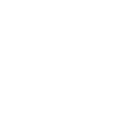 onlinewachsen.de | Digital Agentur Logo