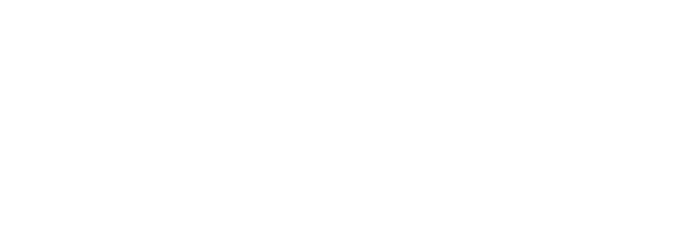 proFMmedia Logo