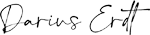 Darius Erdt - SEO Beratung Logo