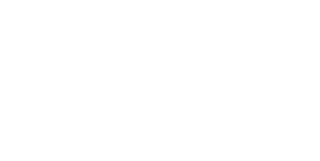 Litschi EDV & Werbetechnik Logo