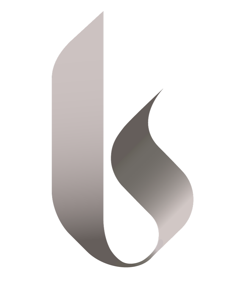 Bettina Stoi Online Marketing Logo