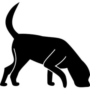 Suchprinzip Logo