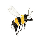 Hanna Niestegge | Grafik & Illustration Logo