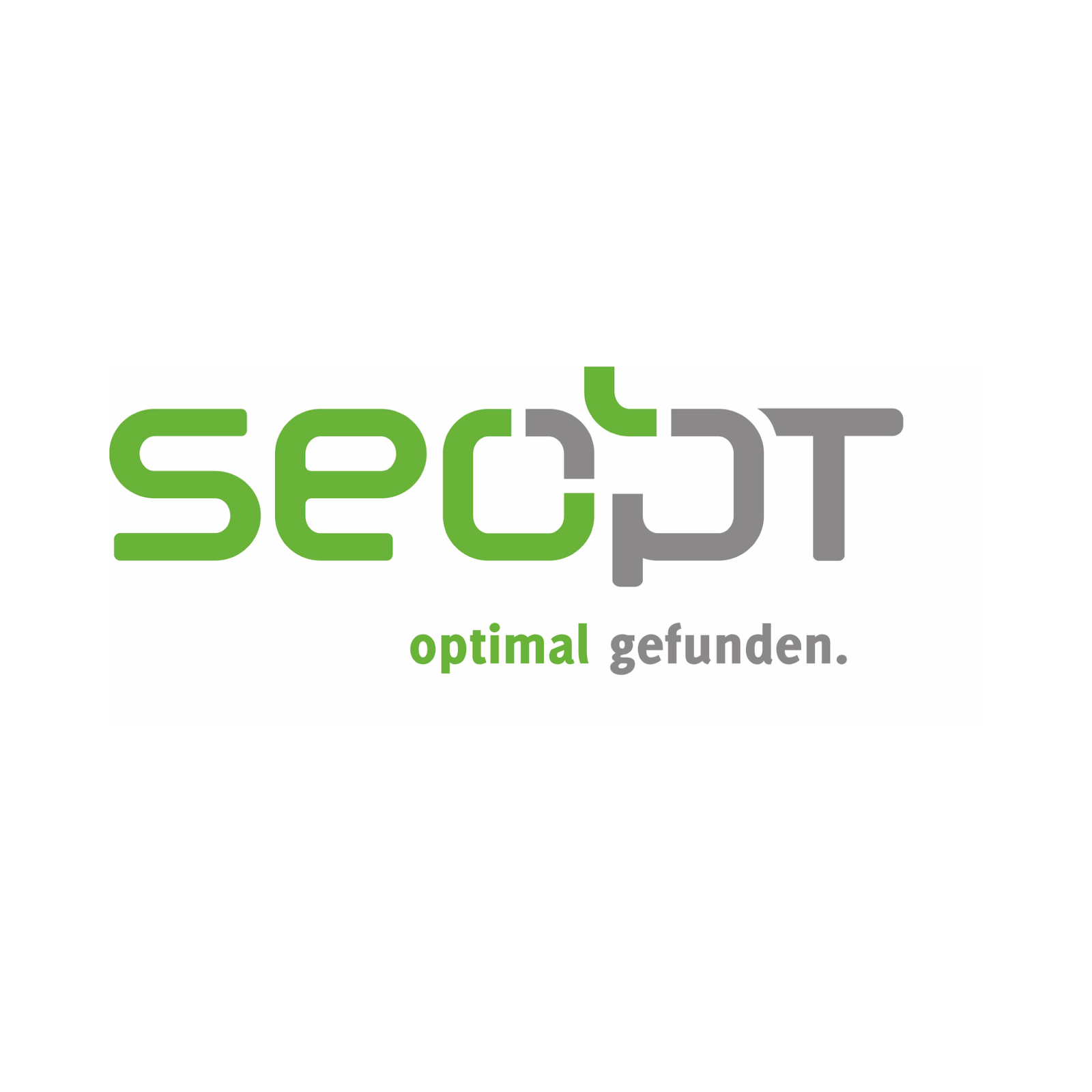 SEOPT e. K. Logo