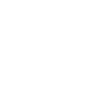 The Social Lead GmbH – Social Media & Influencer Management Agentur Logo