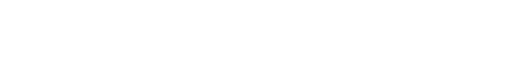 Designagentur Style Your Business Logo
