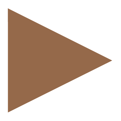 videeo Logo