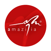 Amazilia Werbewerkstatt Logo