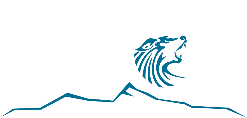 RIWOX Media Magdeburg Logo