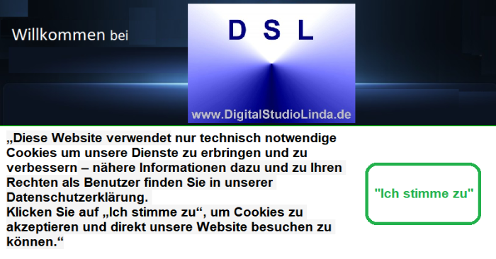 D S L - DigitalStudioLinda Logo