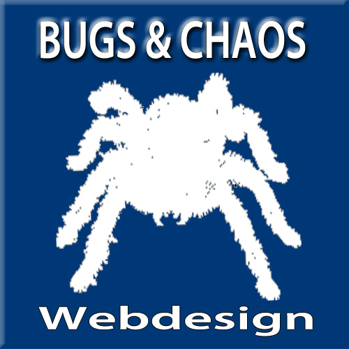Bugs & Chaos Computer & Webdesign Logo
