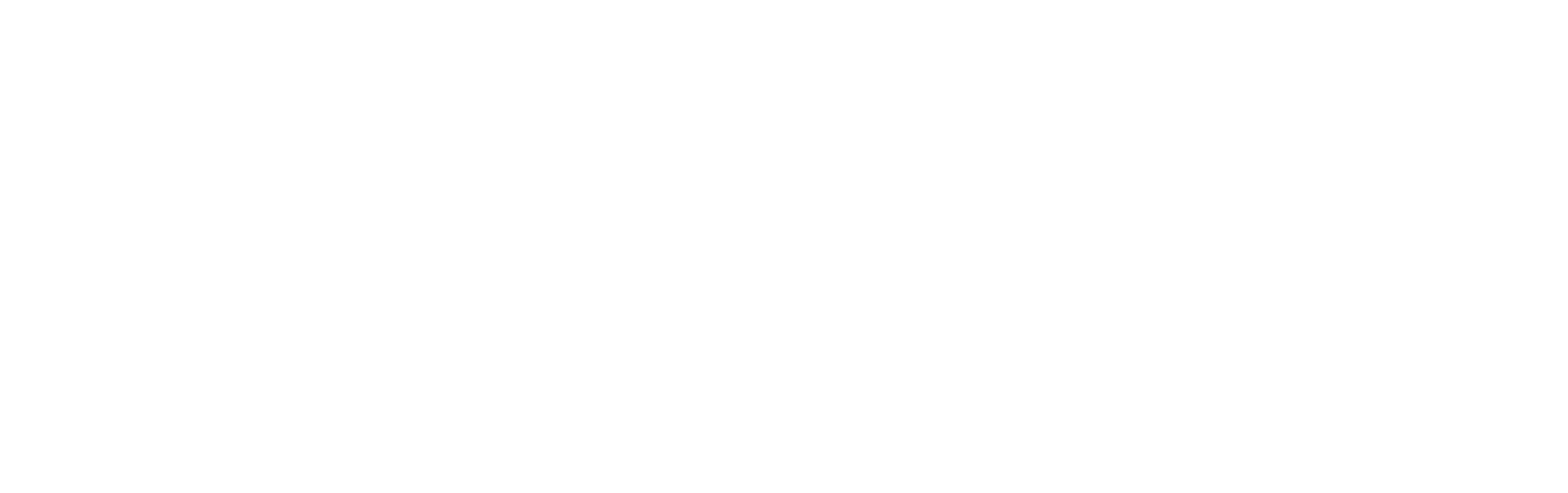 Raccoon Sàrl Logo