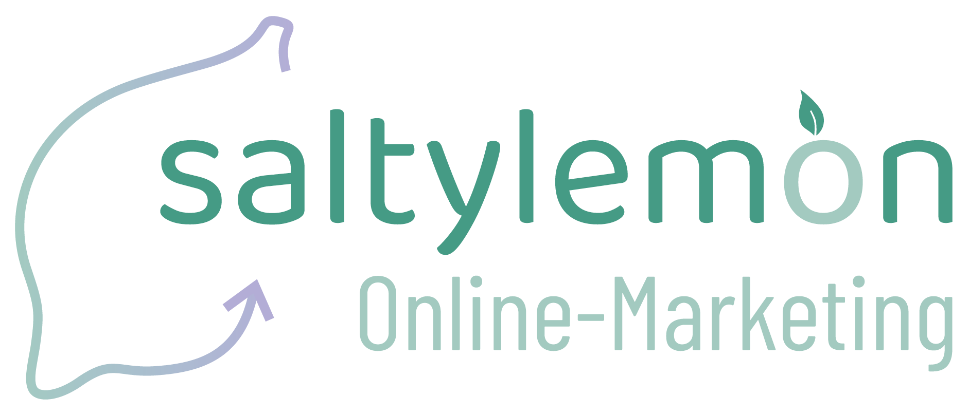saltylemon Online-Marketing GmbH Logo