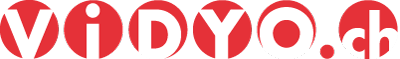 ViDYO GmbH Logo