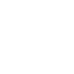 WirelessEmpire Logo