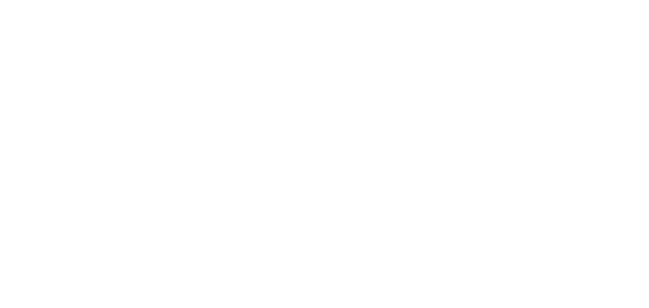 Pelka Plus Logo