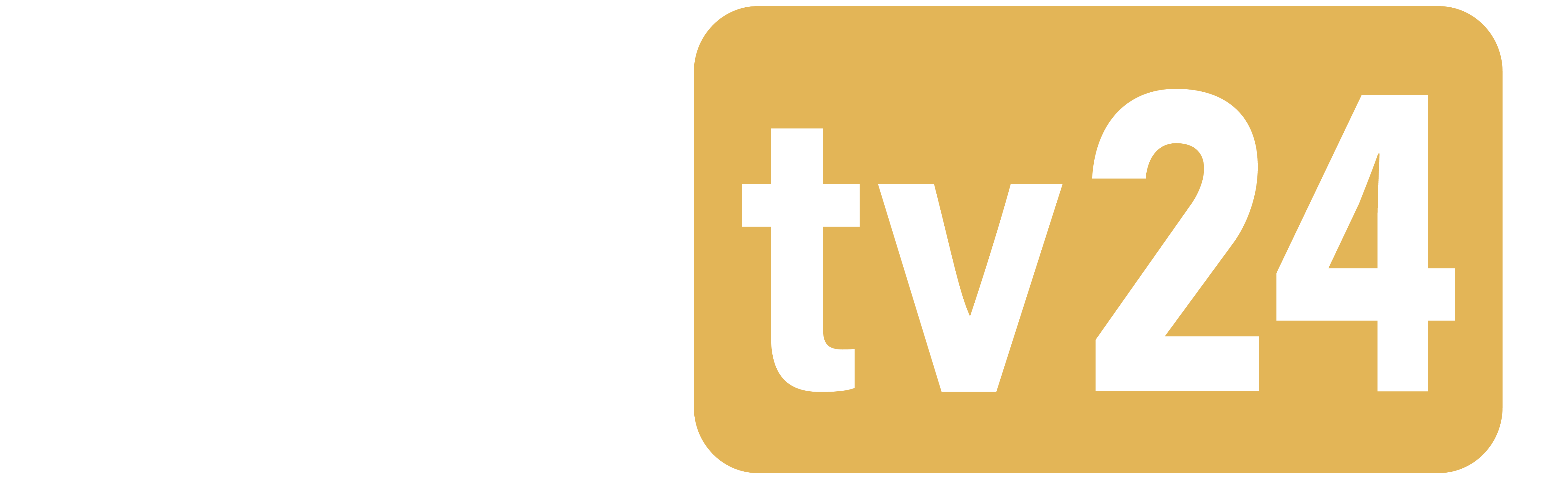 avusmedia - Das Regionale TV - Netz im Aargau Logo