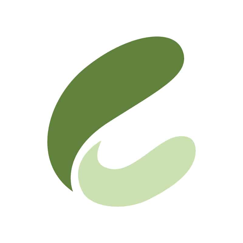 crocovision - Webdesign mit Biss Logo
