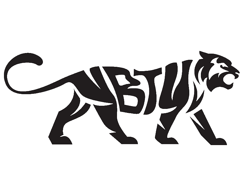 Brandtiger | Webdesign & Online Marketing - Erfurt Logo