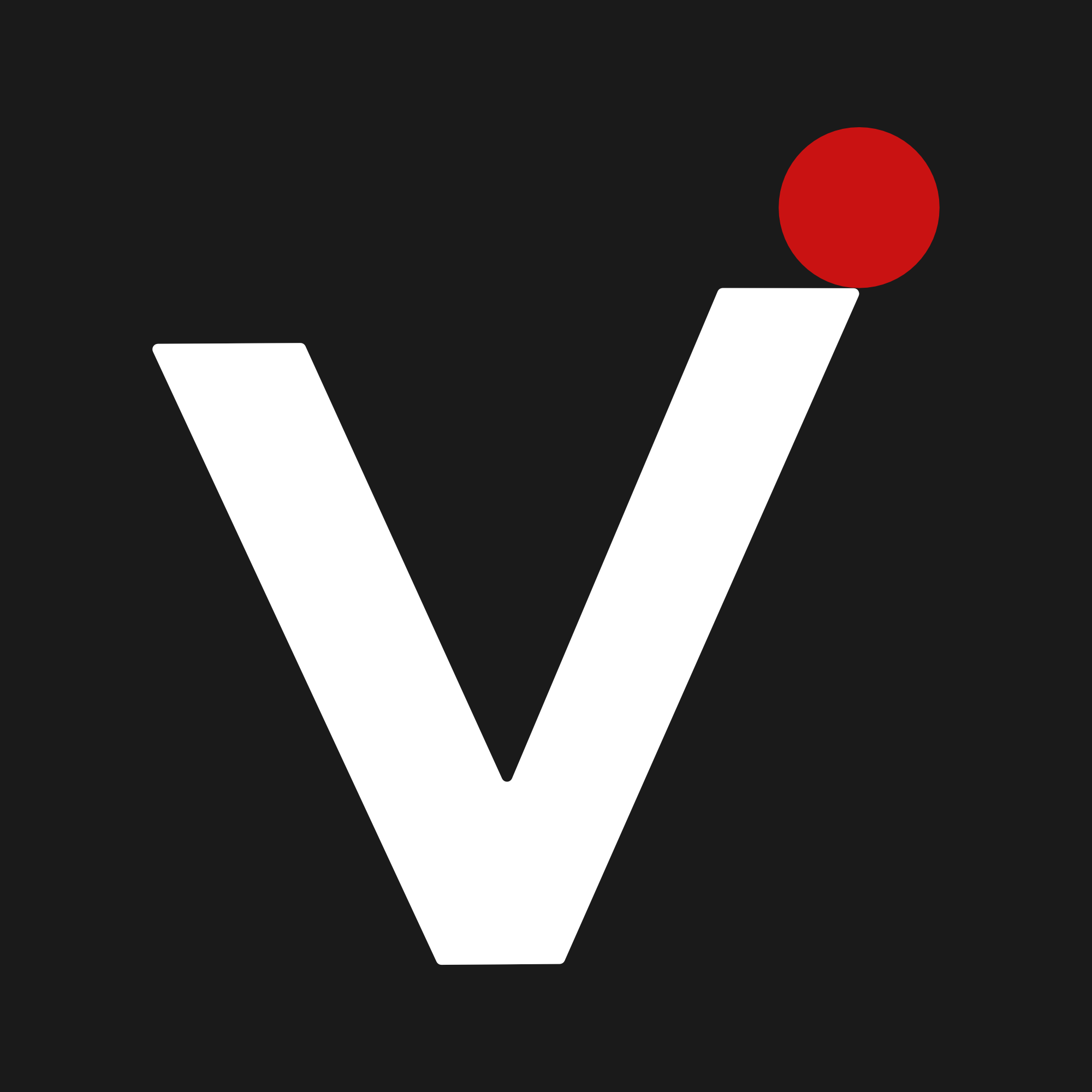 Vira ExpertS Logo