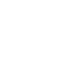 Duschl Media Logo