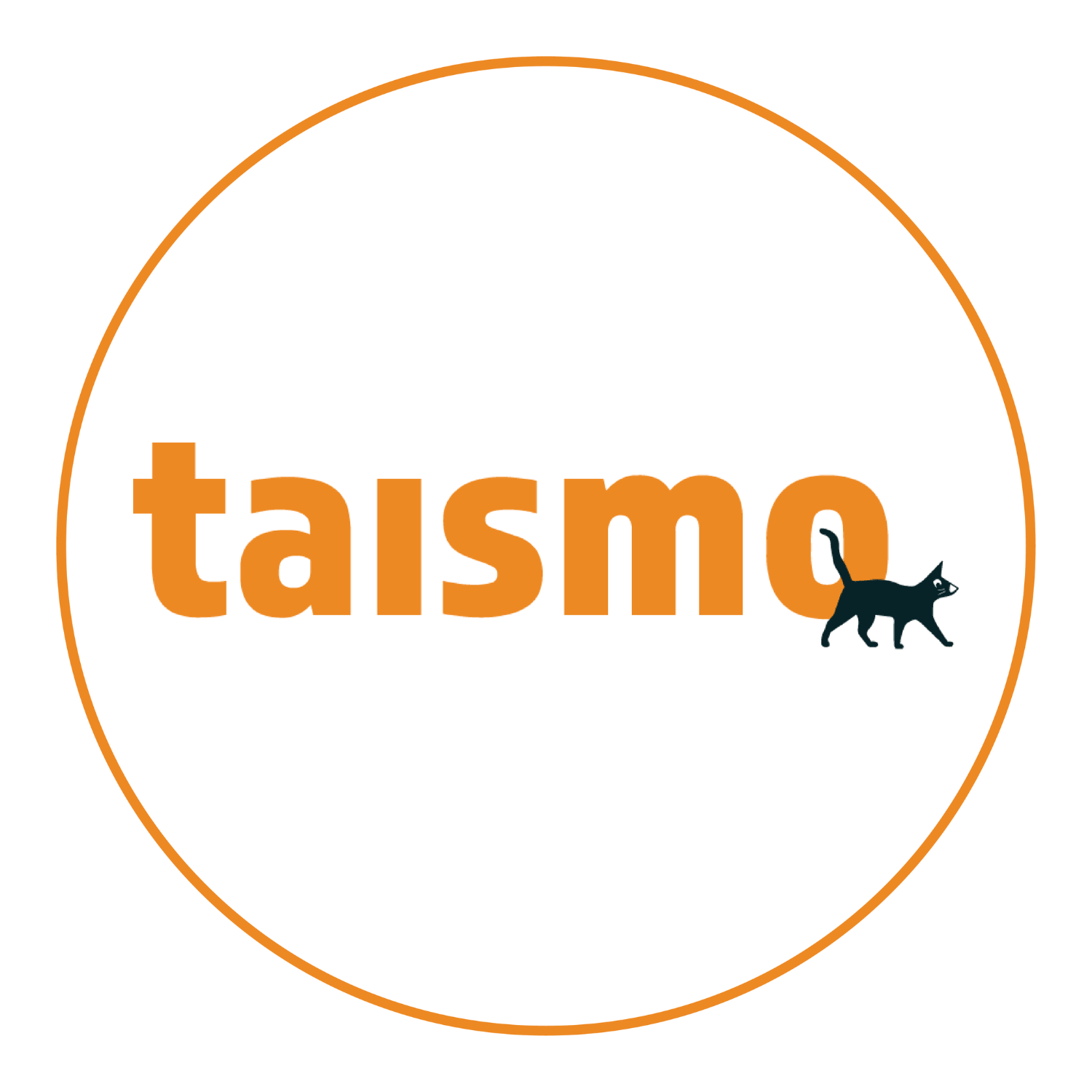 taismo GmbH Logo
