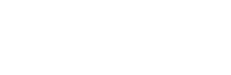 Source of Mind e.K. Logo