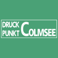 DruckPunkt Colmsee - Braunschweig Logo