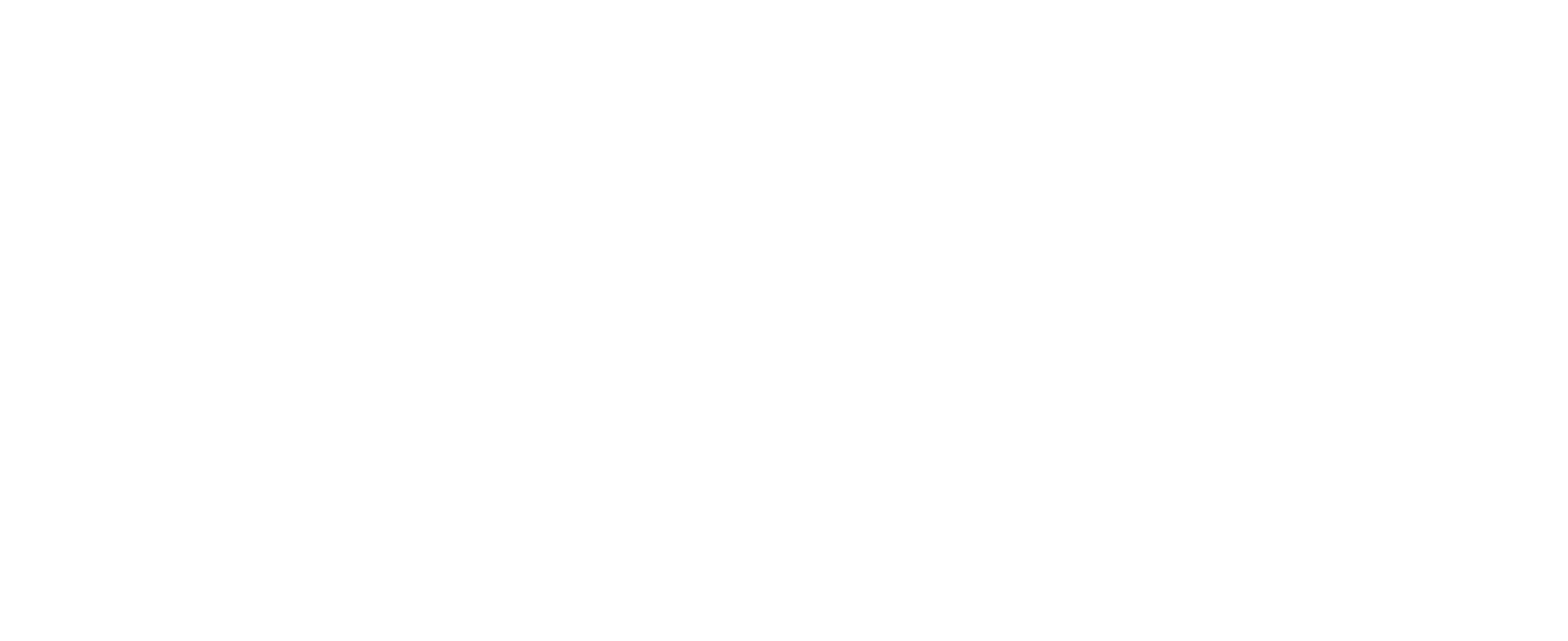 Sebotics AG Logo