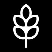 Digital Seed | LinkedIn Marketing Agentur für B2B-Unternehmen & Corporate Influencer Kampagnen Logo