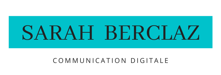 SABE Marketing Sàrl - Agence digitale Logo