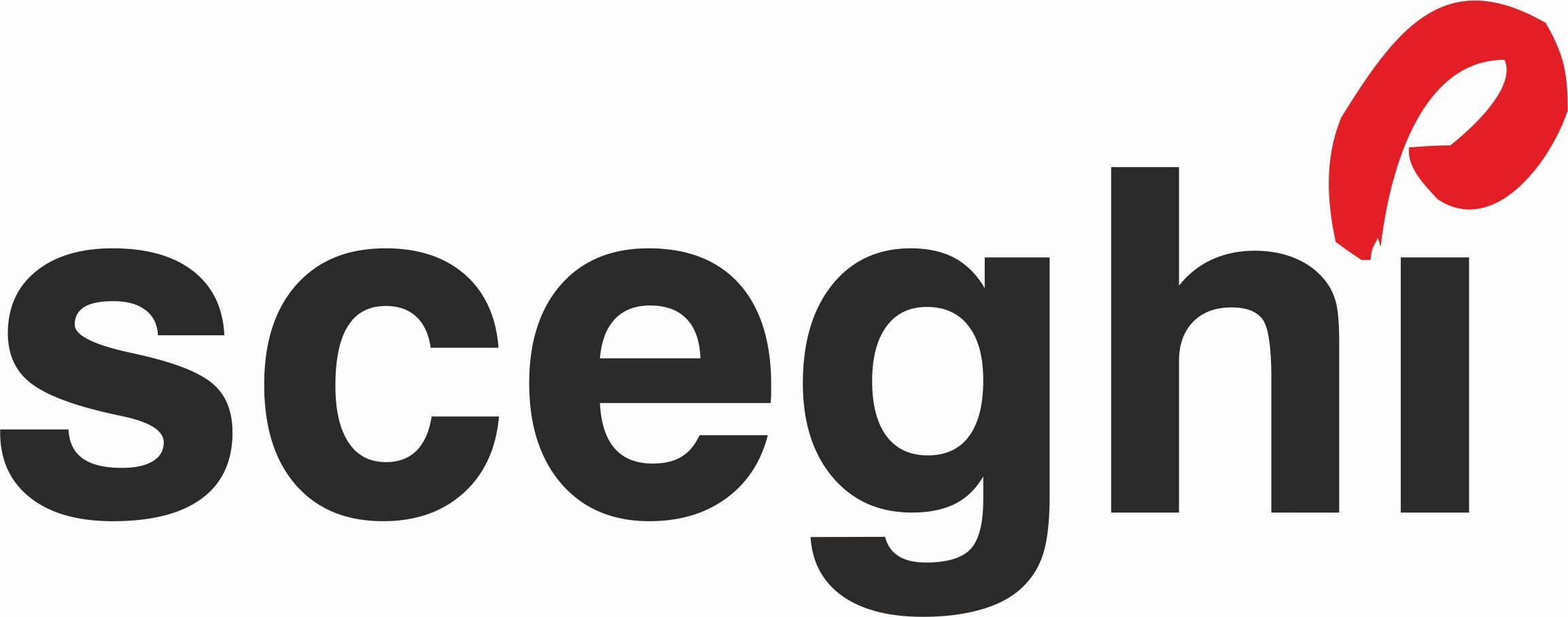 Sceghi Grafica e Pubblicità Sagl Logo