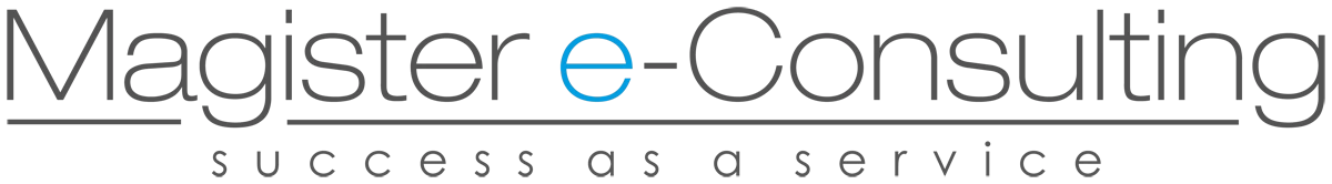 Magister e-Consulting GmbH | Full-Service Marketing- und Unternehmensberatung Logo