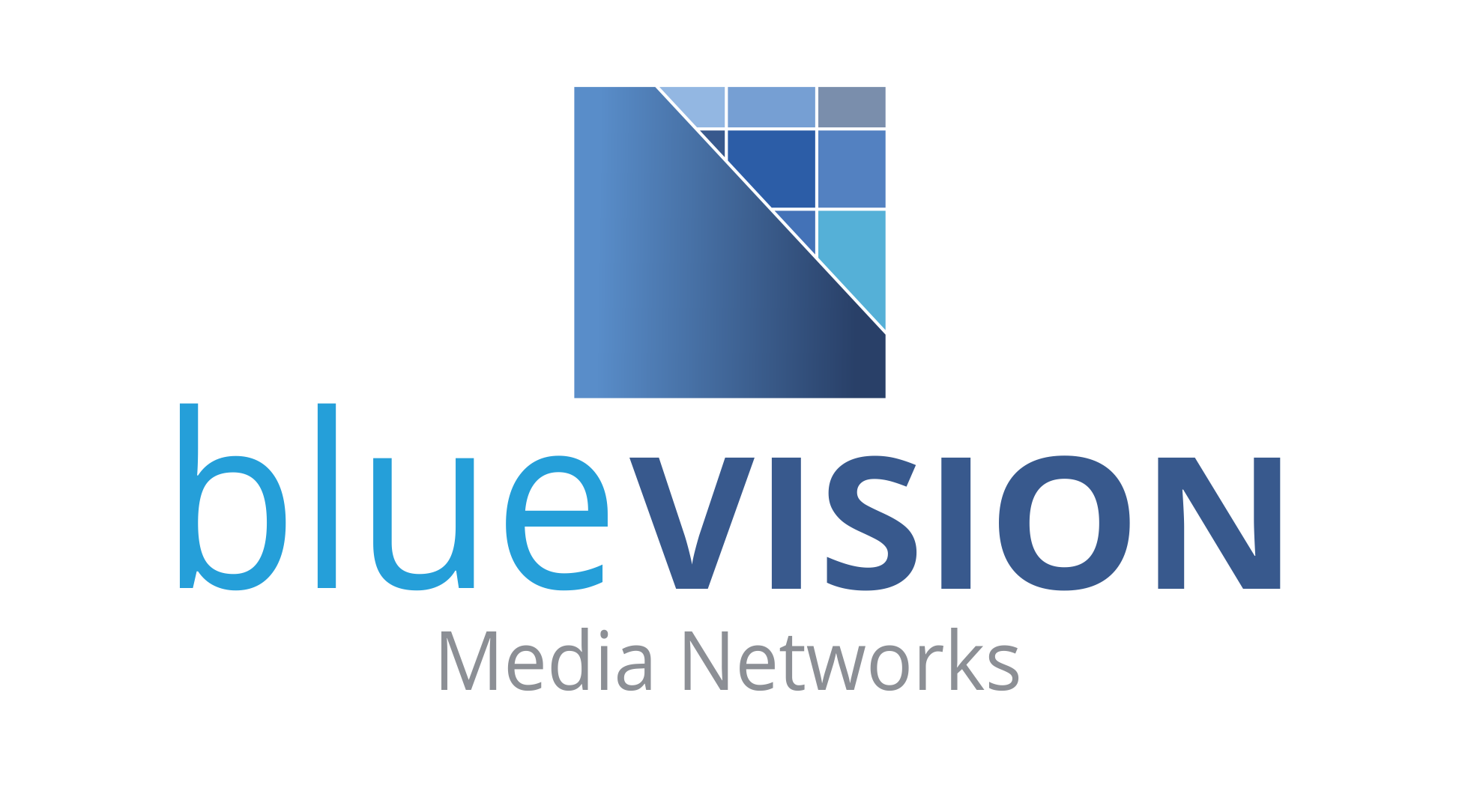 blueVISION - Media Networks Logo