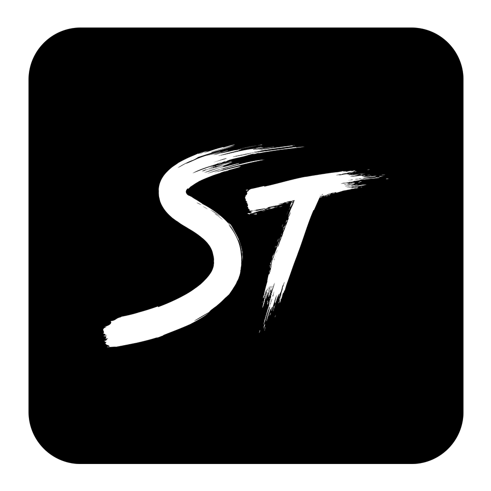 Steinis Grafikdesign Logo