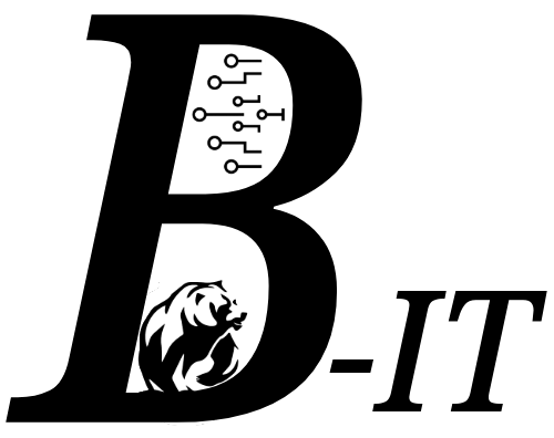 Baerenstarke-IT Logo