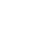 Visual Mind Media Logo