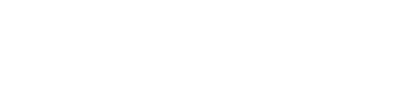 Wittmann Digital Logo