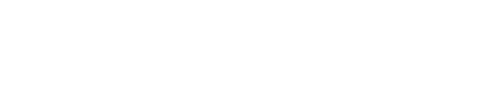 CDS Web GmbH Logo