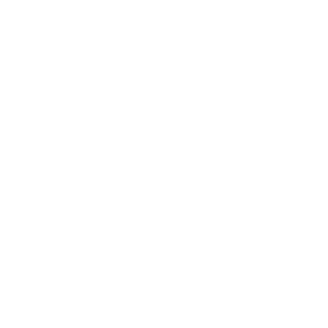 MS Consulting Logo