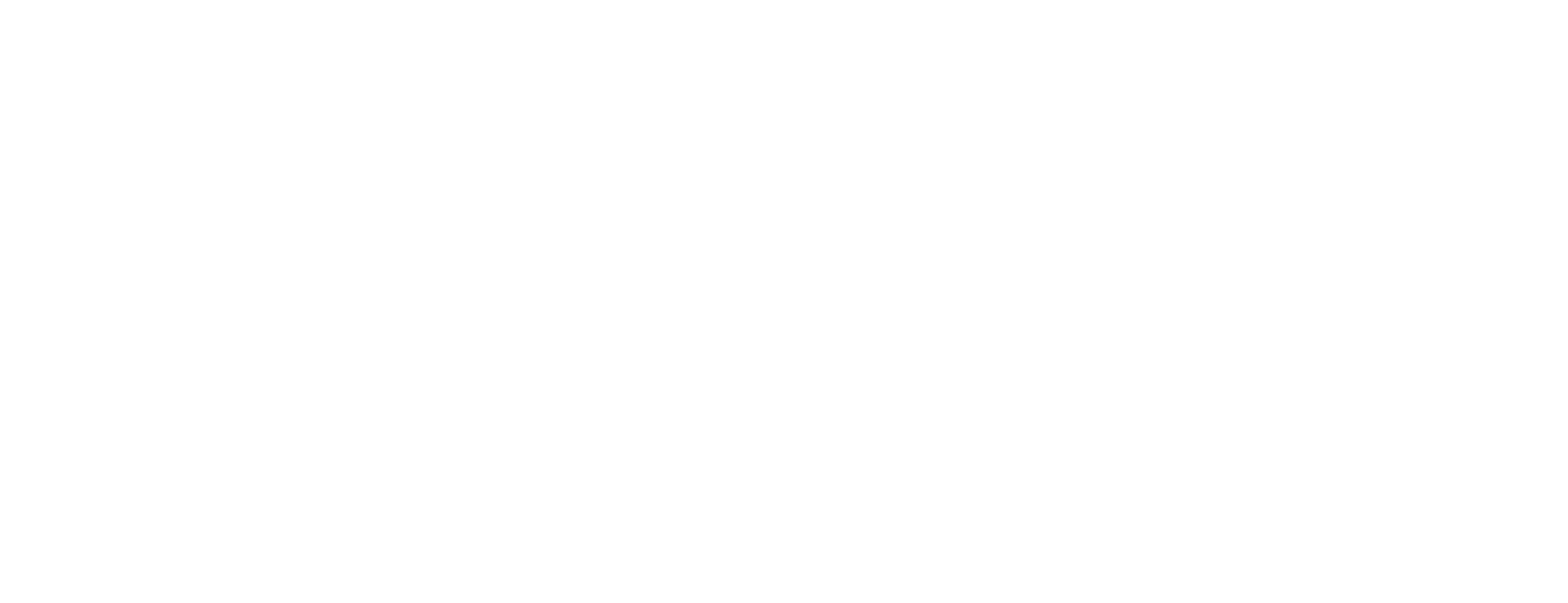 Website Elite Logo