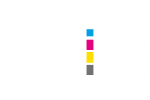 Little.Genius - Mediengestaltung Werbeagentur Logo